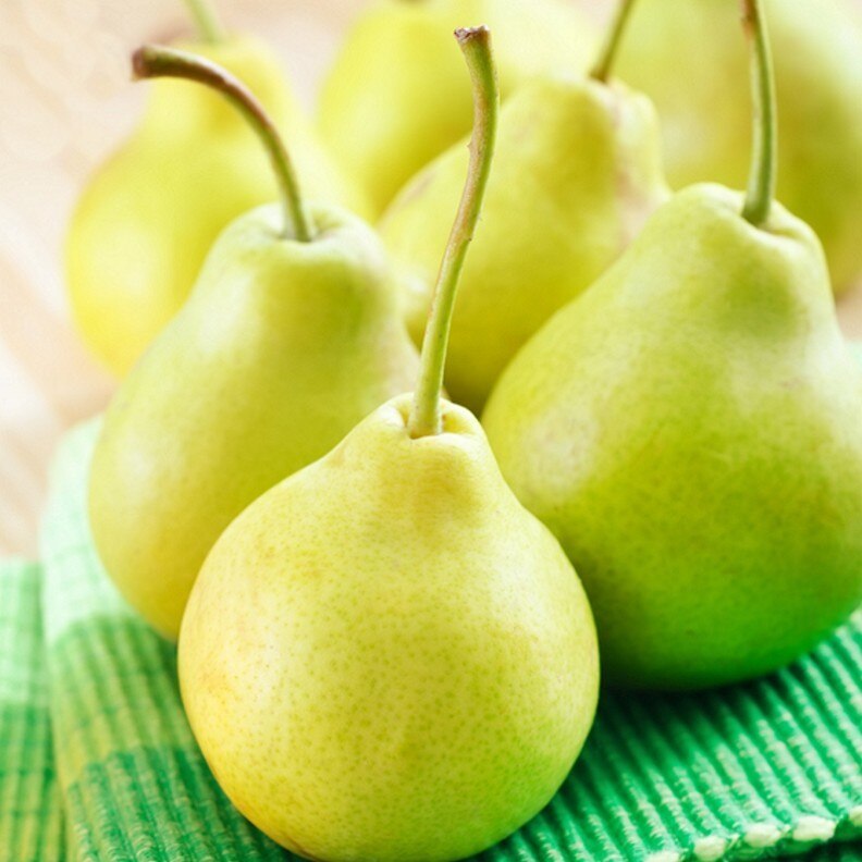 Bartlett Pear 