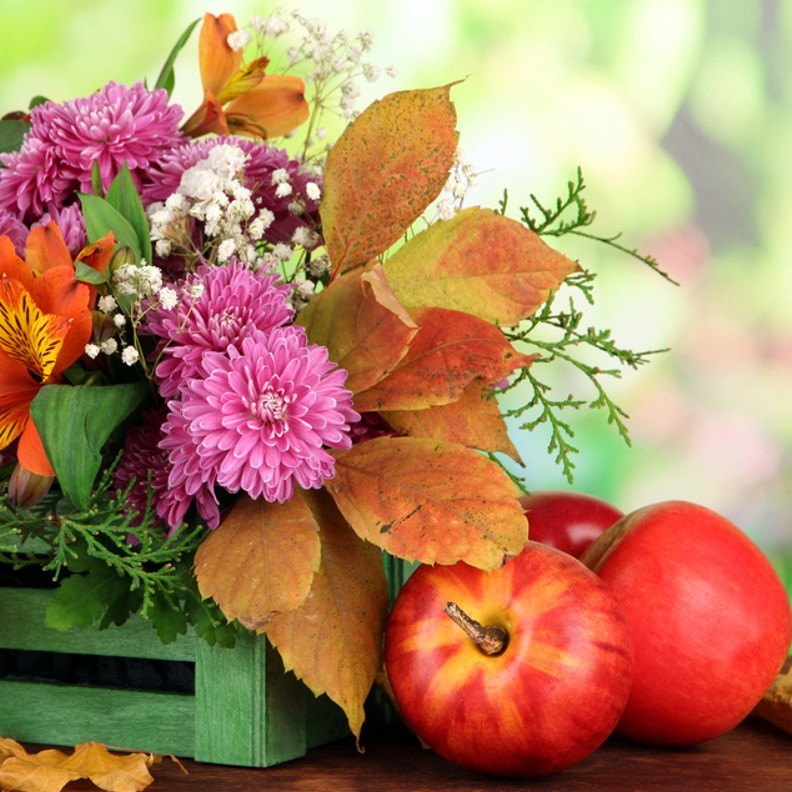 Botanical Orchard & Nectar 